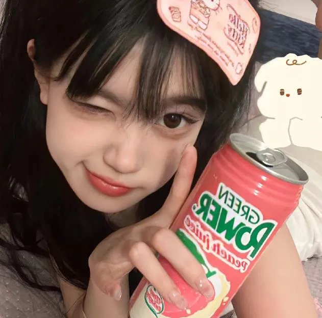 猫与苍蝇