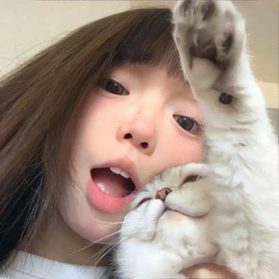 谁偷了我的粉兔子